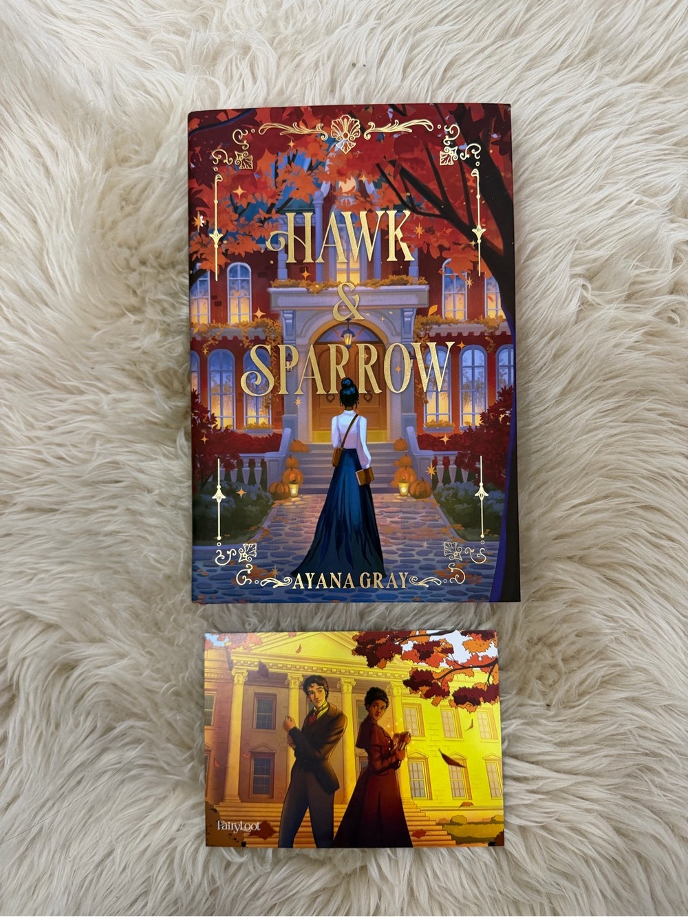 Fairyloot Hawk & Sparrow by Ayana Gray Special Edition Book
